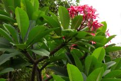 P3033973