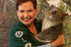 2026-03-07 Cleland Australia Koala Misc