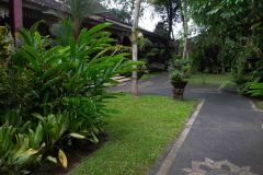 B3154581