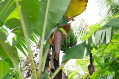 P3154946