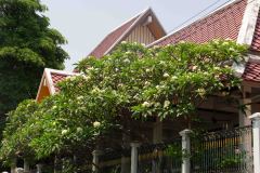 Bangkok-29