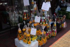 Bangkok-4