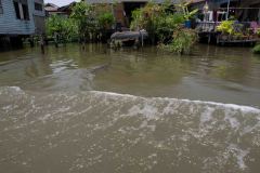 Bangkok-88