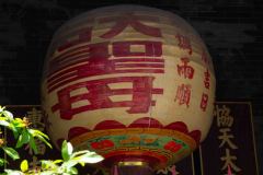 Saigon-12-B3296020