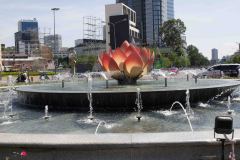 Saigon-69-B3296136