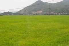 Nha-Trang-63-B3306213