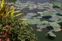 Nha-Trang-74-B3306232