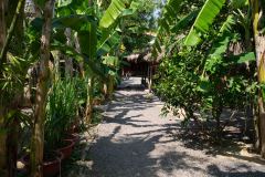 Nha-Trang-77-B3306239