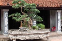 Hanoi-32-B4016353
