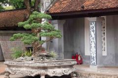 Hanoi-35-B4016362