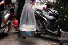 Hanoi-64-B4016419