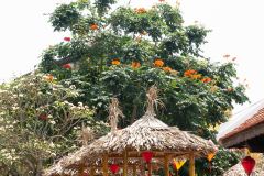 Da-Nang-and-Hoi-An-84-B4036745
