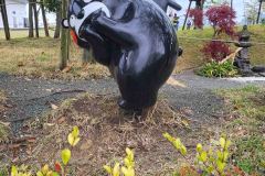 Yatsushiro-Japan-27-20260410_102632