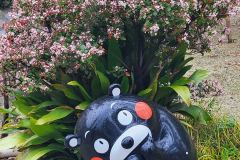 Yatsushiro-Japan-42-20260410_103612