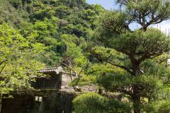 Kagoshima-Japan-2-P4116199