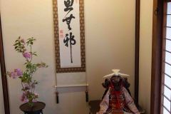 Kagoshima-Japan-25-B4116835