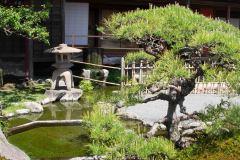 Kagoshima-Japan-26-P4116209