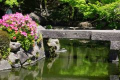 Kagoshima-Japan-28-P4116215