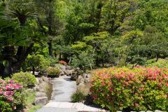 Kagoshima-Japan-32-B4116840