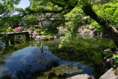 Kagoshima-Japan-35-B4116844