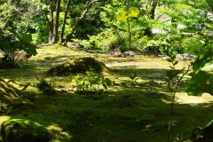 Kagoshima-Japan-41-P4116238