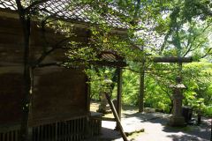 Kagoshima-Japan-42-P4116239