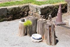 Kagoshima-Japan-49-P4116250