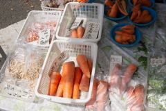 Kochi-Japan-17-P4126295