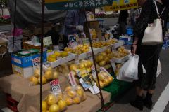 Kochi-Japan-18-P4126296