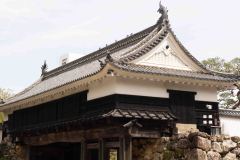 Kochi-Japan-24-B4126002