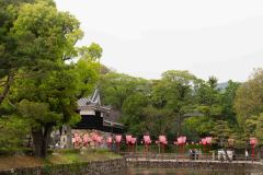 Kochi-Japan-30-P4126319