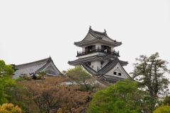 Kochi-Japan-31-P4126320