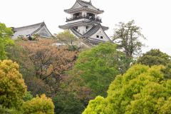 Kochi-Japan-32-P4126322