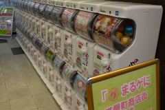 Kochi-Japan-37-P4126334