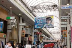 Kochi-Japan-41-P4126341