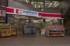 Kochi-Japan-45-P4126346