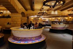 Disneyland-16-20260416_174807