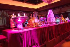 Disneyland-17-20260416_175213