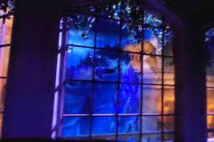 Disneyland-23-20260416_175457