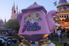Disneyland-37-20260416_182203