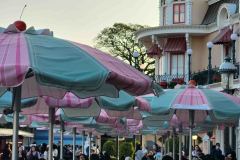 Disneyland-4-20260416_171642