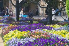 Disney-SEA-6-20260416_113801