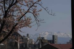 Aomori-Japan-1-P4196395