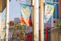 Aomori-Japan-36-B4196132