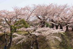 Hakodate-Japan-10-B4206195