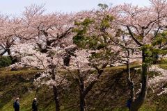 Hakodate-Japan-11-B4206192-Pano