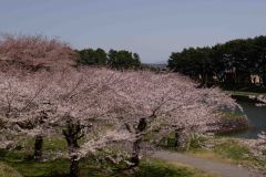 Hakodate-Japan-16-B4206203