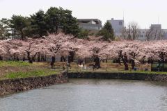 Hakodate-Japan-2-B4206174