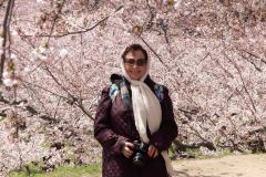 Hakodate-Japan-26-B4206211