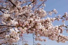Hakodate-Japan-28-B4206213